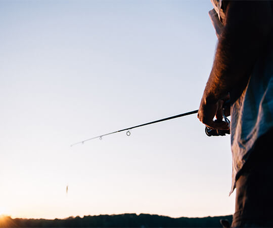 andate a pesca! cinque metodi per scacciare le zanzare durante la pesca
